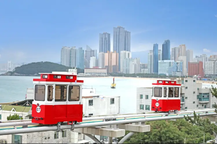 부산 시티 데이 투어 (스카이캡슐, 송정해변열차, 스카이워크, 부산요트, 흰여울마을, 태종대, 감천문화마을)
