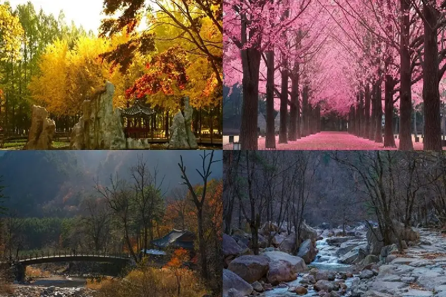 남이섬 + 설악산 원데이 투어
