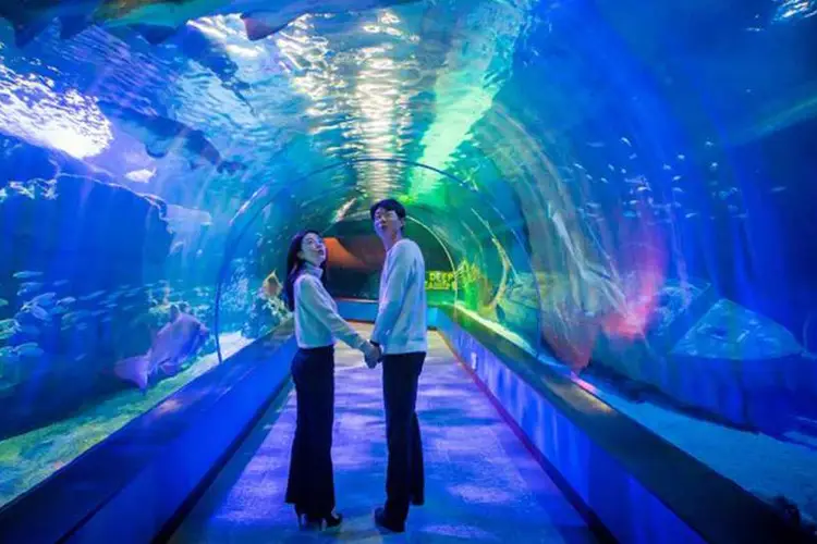 씨라이프 부산 해운대 아쿠아리움 티켓 (구매 후 익일부터 사용) - SEA LIFE 입장권