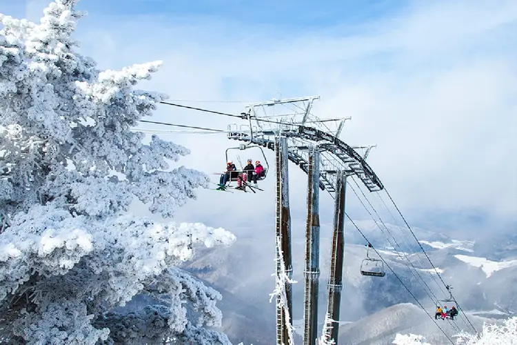 [강원 평창] 모나용평 25/26시즌 리프트권(~스키장 폐장일)