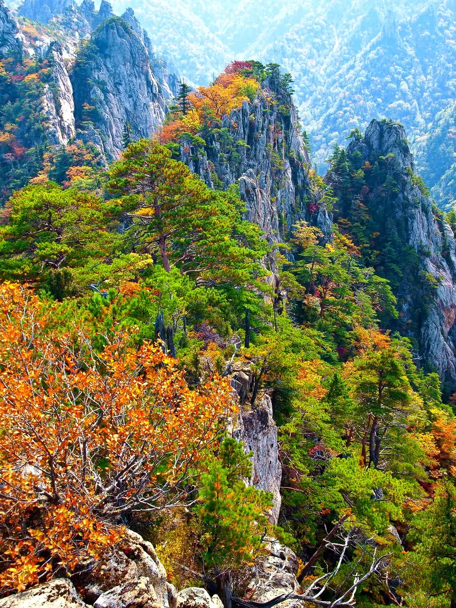 설악산 국립공원 내 오색지구