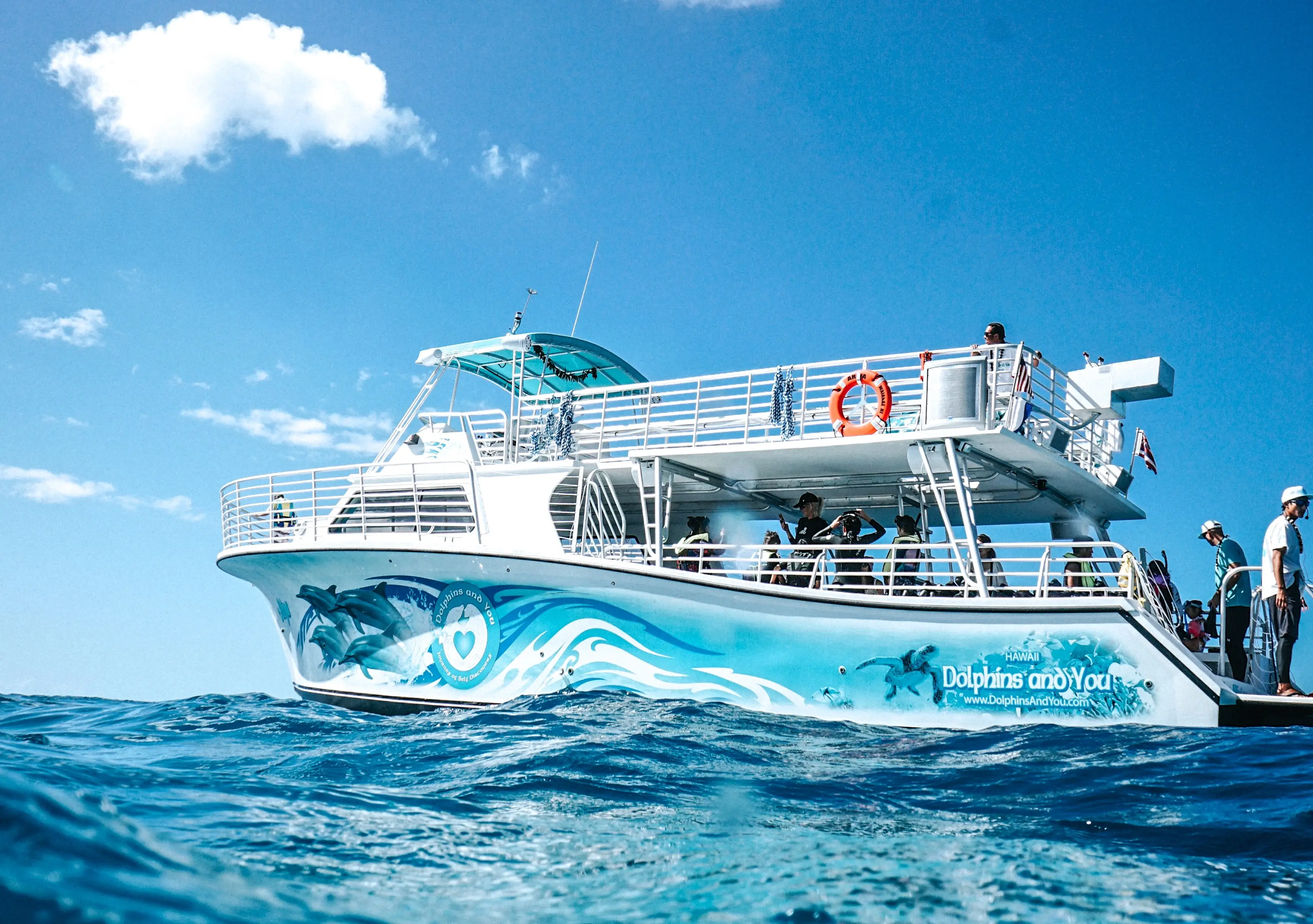 하와이 돌핀앤유 (돌고래와칭+스노클링+중식+와이켈레아울렛VIP쿠폰제공)