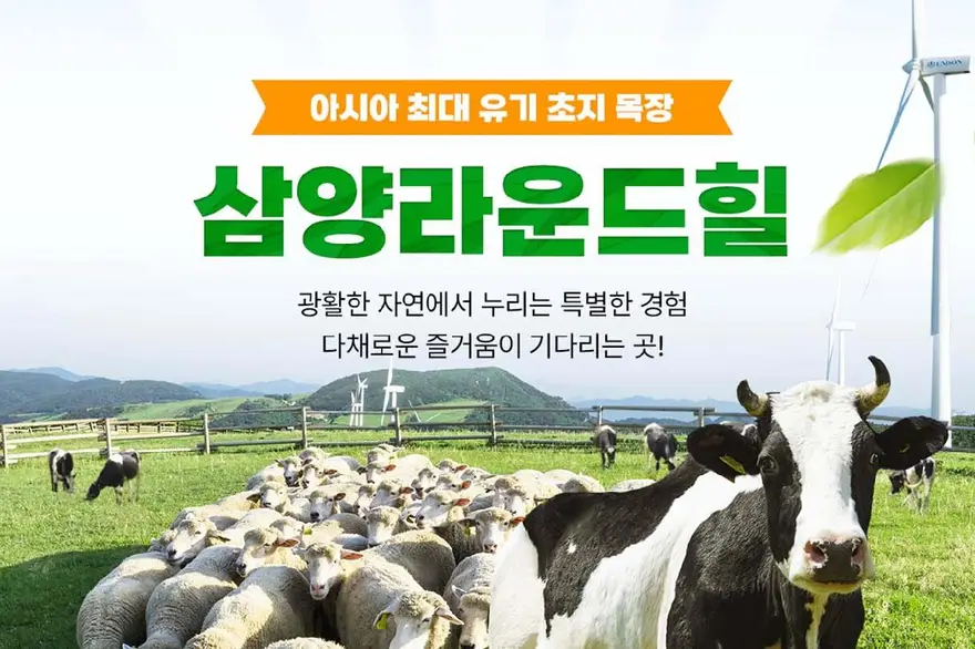 [강원 평창] 대관령 삼양라운드힐