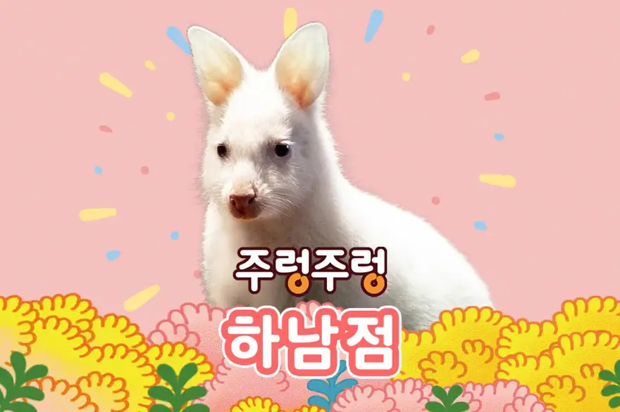 [경기]주렁주렁 실내 동물원 하남점