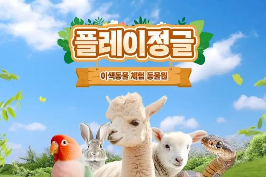 [강원] 플레이정글 춘천엔타점