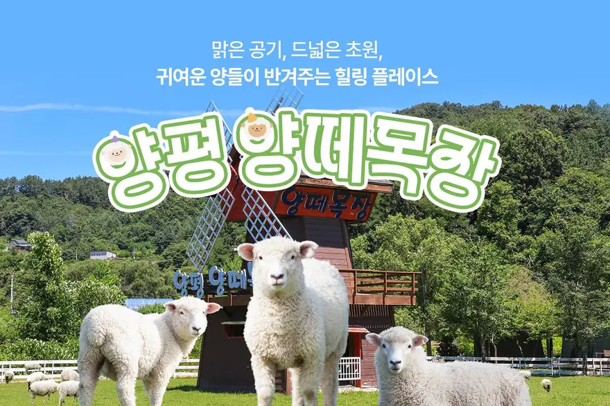 [경기] 양평 양떼목장 먹이주기 체험+입장권