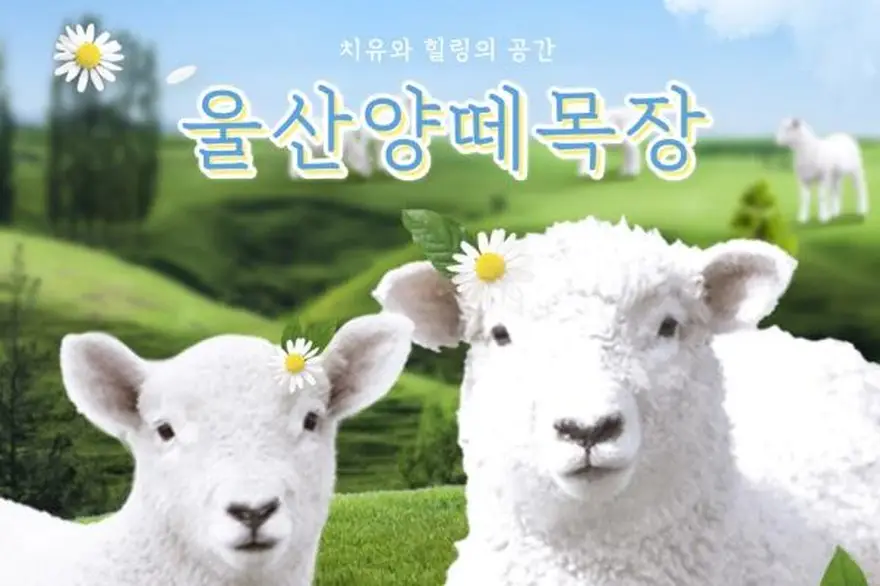 [울산] 양떼목장(울산가볼만한곳!~)