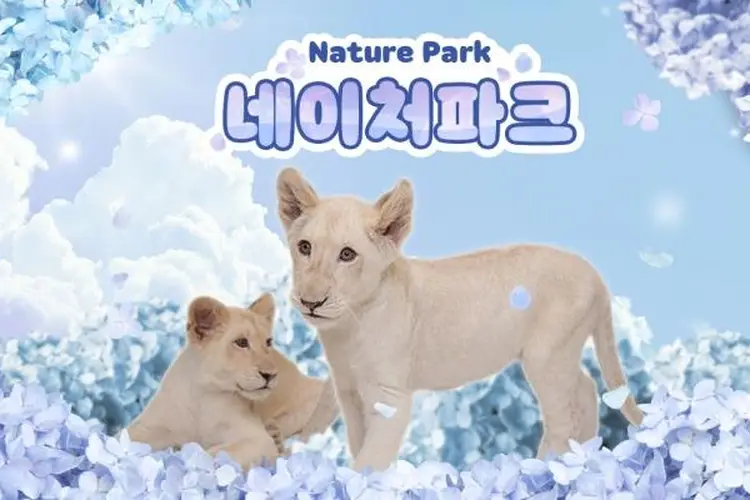 [대구] 네이처파크 이용권