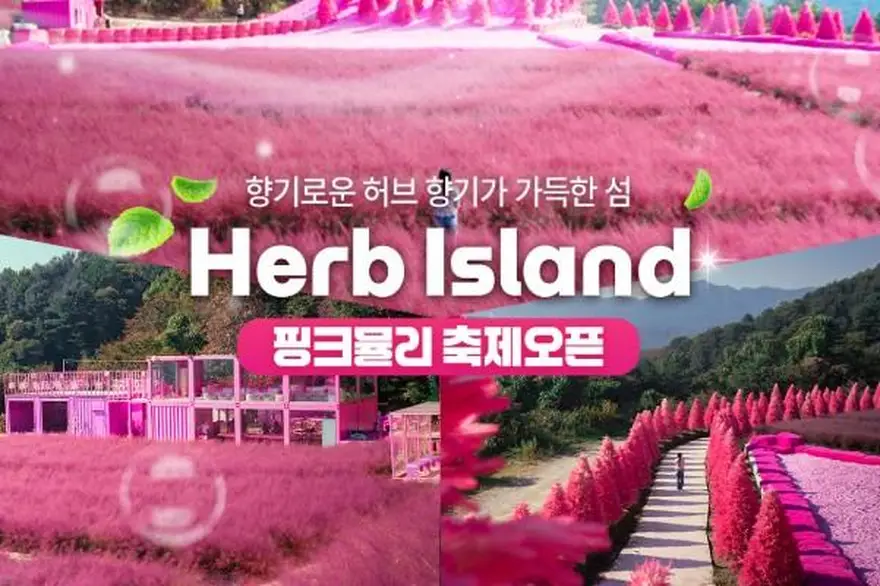 [경기] 허브아일랜드 입장권(포천가볼만한곳)