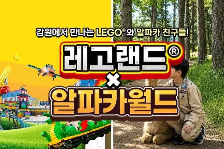 [강원] 레고랜드X알파카월드 PKG