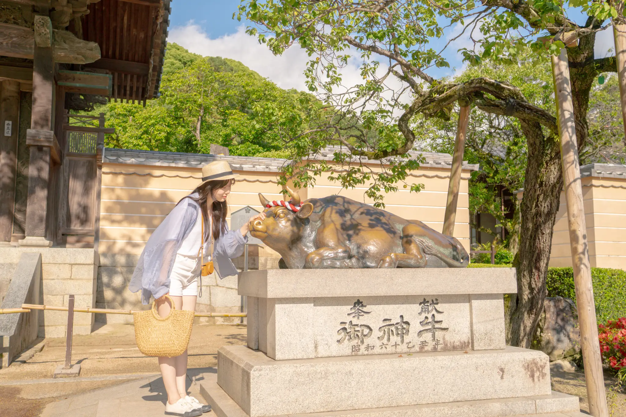 [베스트셀러] 유후인 벳푸 다자이후텐만구 후쿠오카 일일 버스투어 와쿠와쿠 1호선