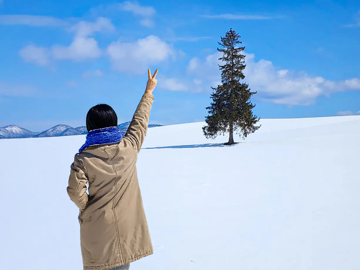 [간식제공/스탠다드] 북해도 1호선 비에이 후라노 버스투어 홋카이도 와쿠와쿠버스