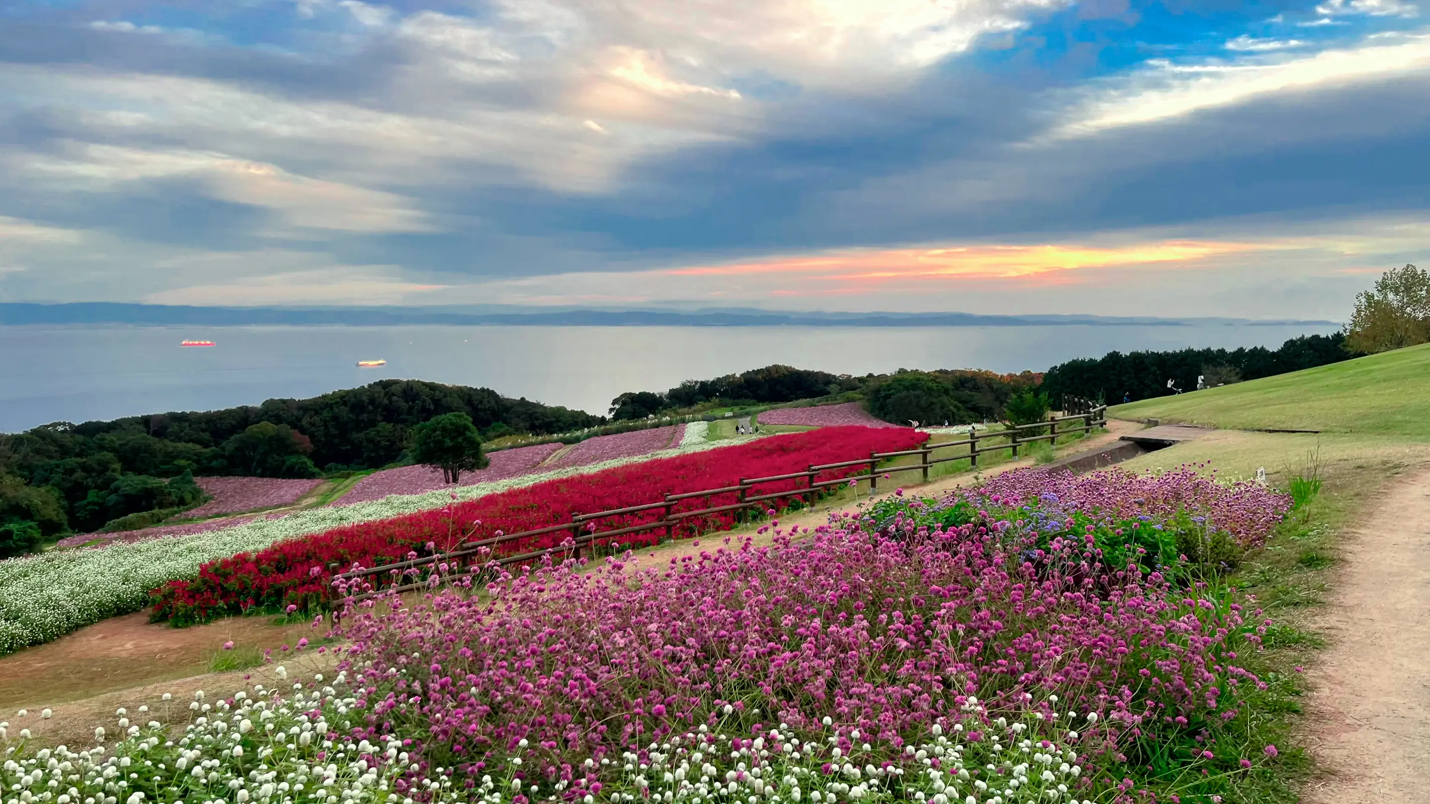 [오사카출발]소도시 감성 힐링 여행 히메지성 아와지시마 유메부타이 하나사지키 오사카 일일버스투어 와쿠와쿠