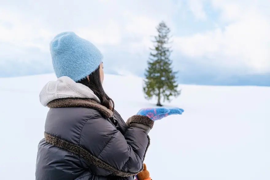 [준페이예약/스스키노하차] 비에이 버스투어 (후라노 삿포로)