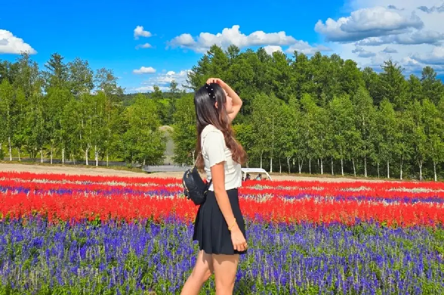  [준페이예약/스스키노하차] 비에이 버스투어 (후라노 삿포로)