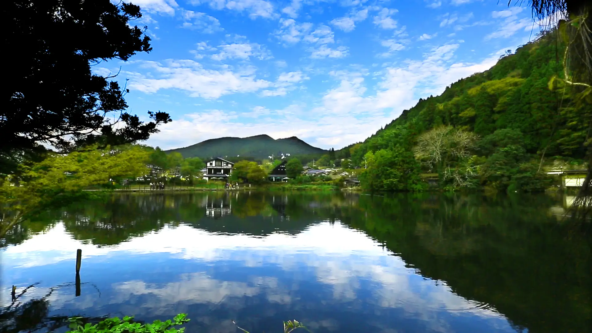 [플로랄빌리지 오픈런 가능] 후쿠오카 유후인 벳푸 일일 현지 버스투어