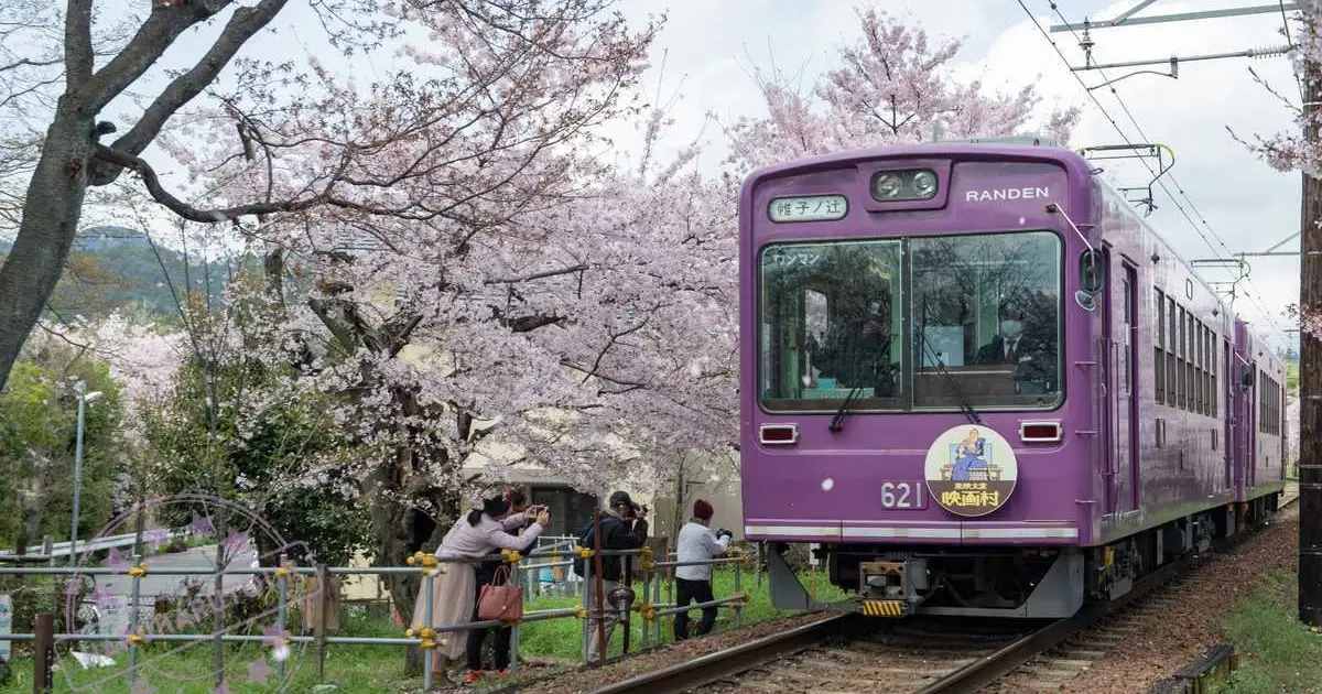교토 일일 버스투어 이미지
