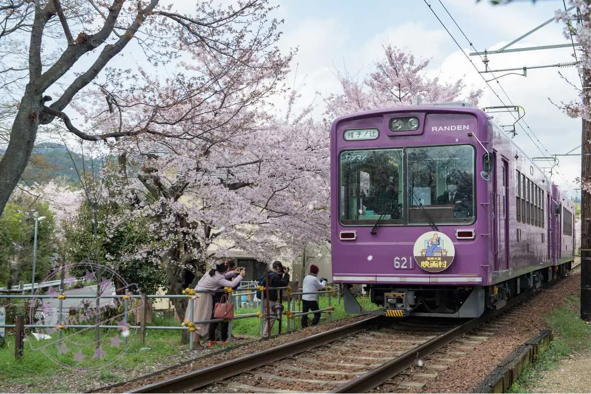 [란덴 열차 체험 포함, 최저가] 교토 버스투어 (여우신사 아라시야마 금각사 청수사)