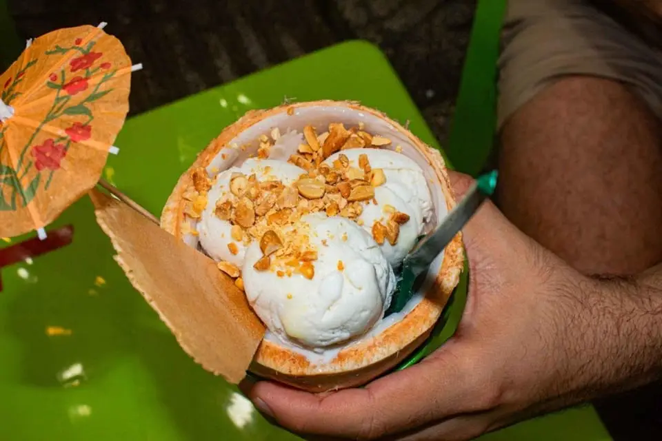 Coconut ice cream served in a coconut shell