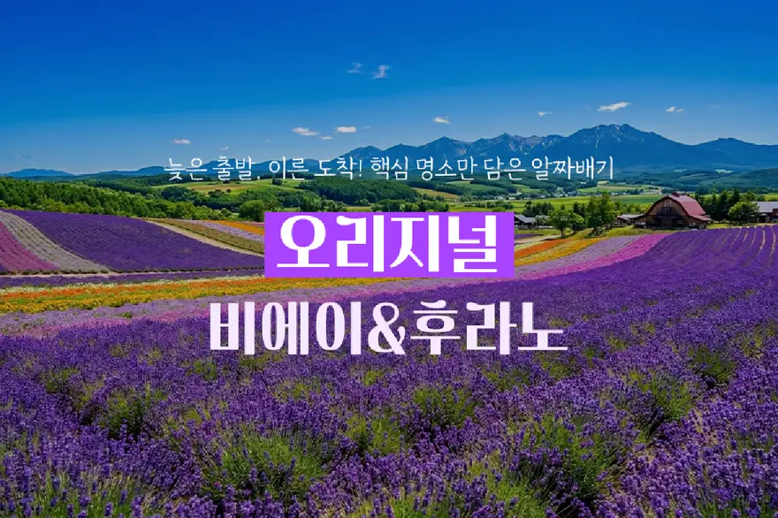 비에이 후라노 오리지널 1일 버스투어 흰그림자투어