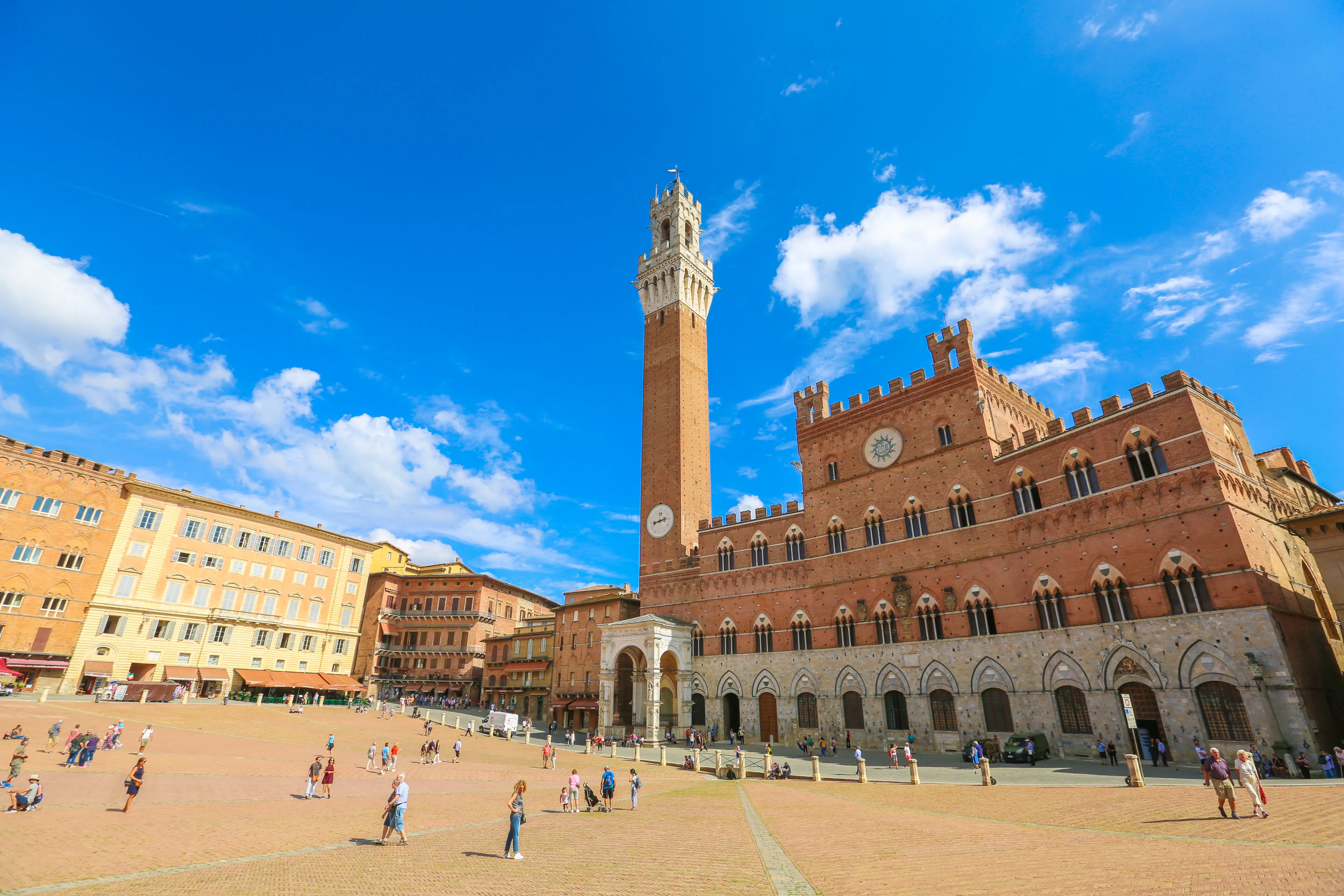 [피렌체 출발] 시에나+피엔자+토스카나 사이프러스 길 소수 근교 차량투어