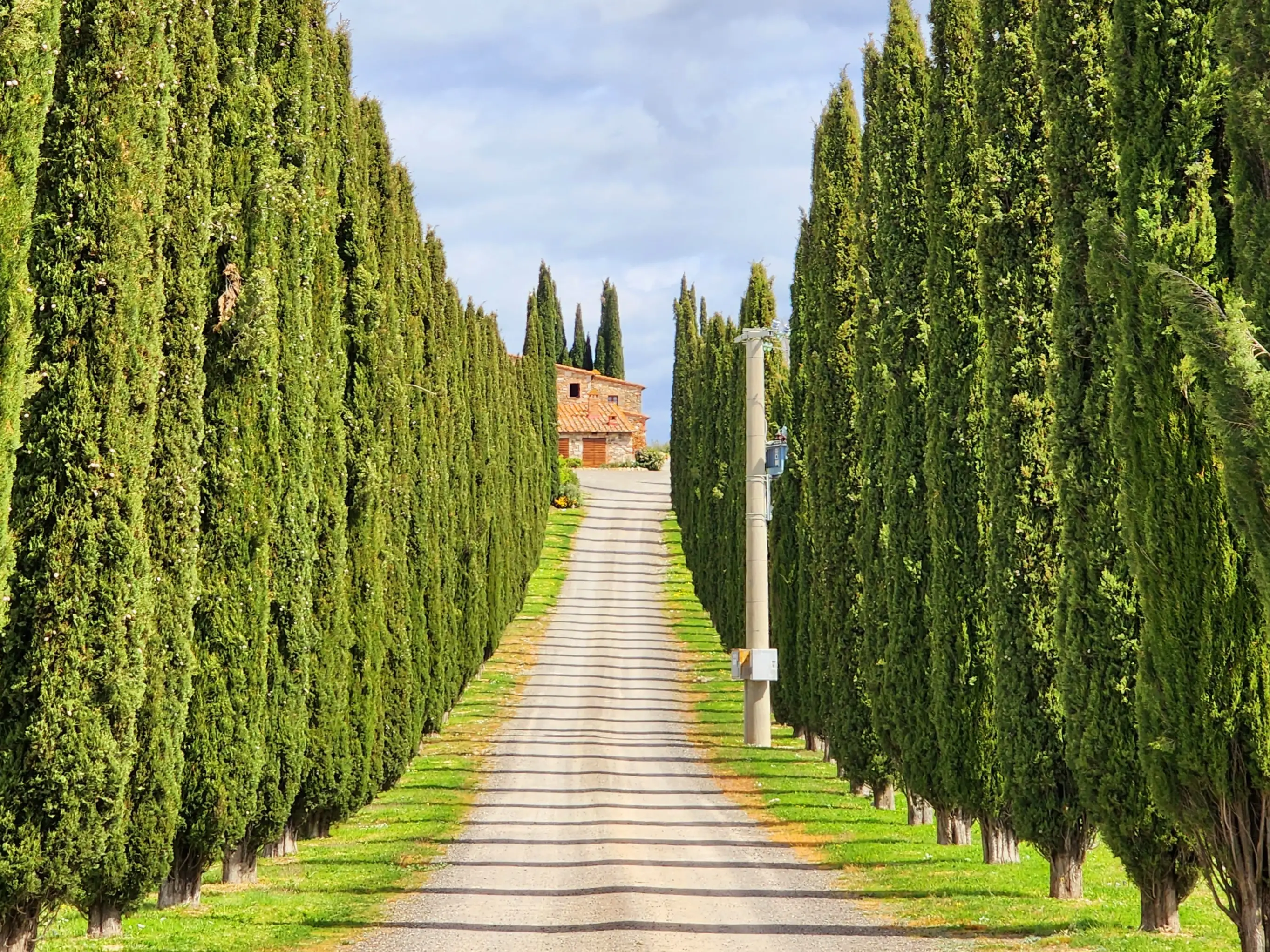 [로마 출발] 치비타 디 반뇨레죠+피엔자+토스카나 와이너리 근교 차량투어