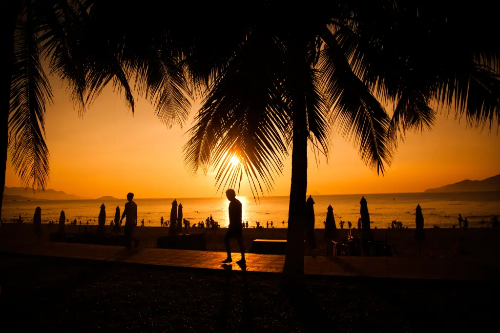 [나트랑/달랏5일-인천출발] NO옵션+마사지·루프탑·과일무제한 트리플 힐링패키지