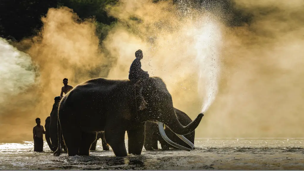 치앙마이 4박6일 #NO옵션 #치앙라이 #님만해민 #골든트라이 앵글 #미쉐린