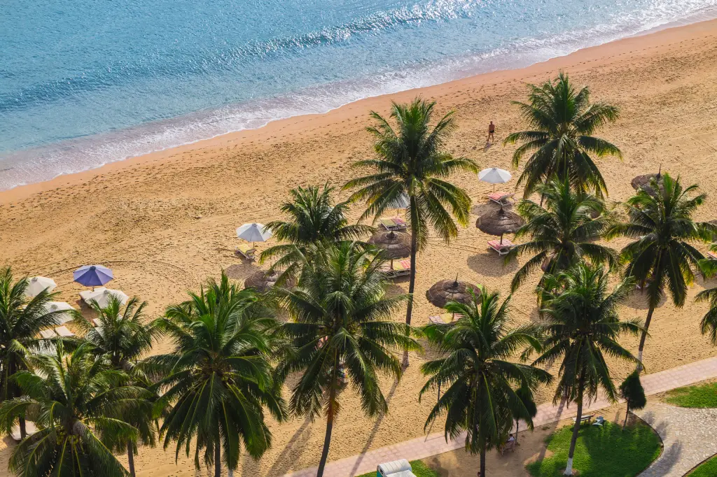 [나트랑/달랏5일-인천출발] NO옵션 + 월드체인 하얏트, 눈꽃빙수·마사지 90분 패키지